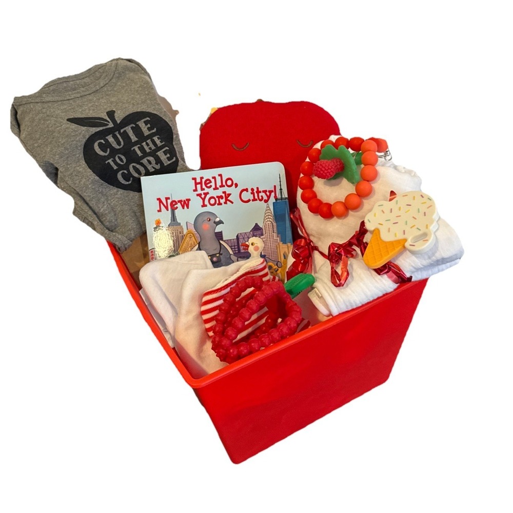 Hello New York‎ City Baby Gift Basket Apple Lovey Teether Blanket Bibs Bodysuit